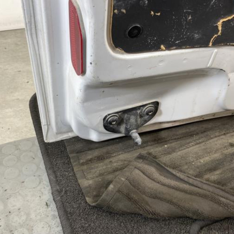 Porte de coffre gauche RENAULT KANGOO 2 Photo n°7