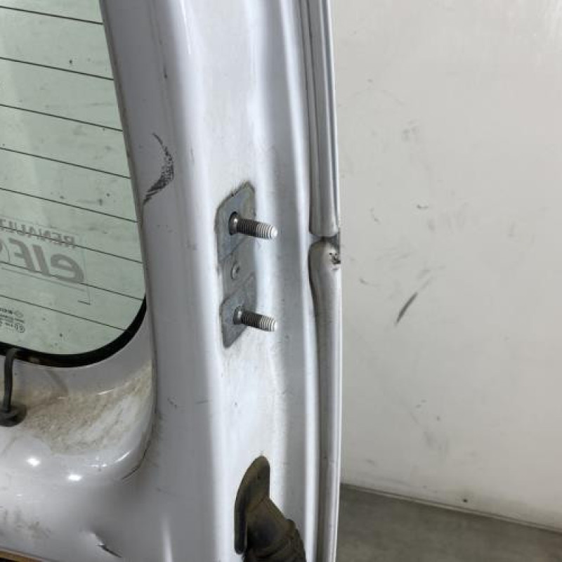 Porte de coffre gauche RENAULT KANGOO 2 Photo n°9