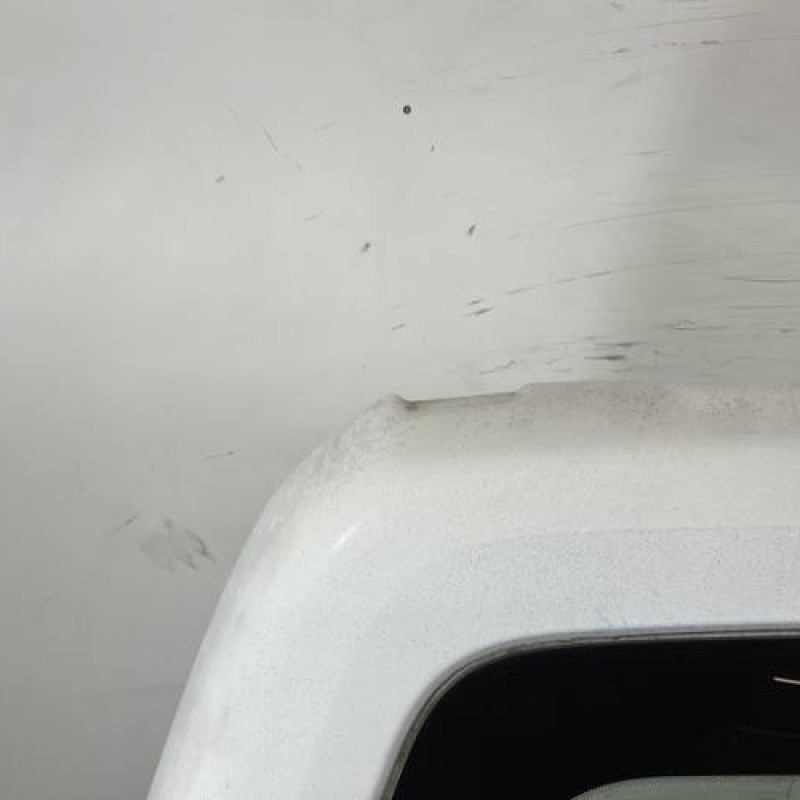 Malle/Hayon arriere PEUGEOT PARTNER 2 Photo n°2