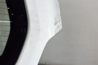 Malle/Hayon arriere PEUGEOT PARTNER 2