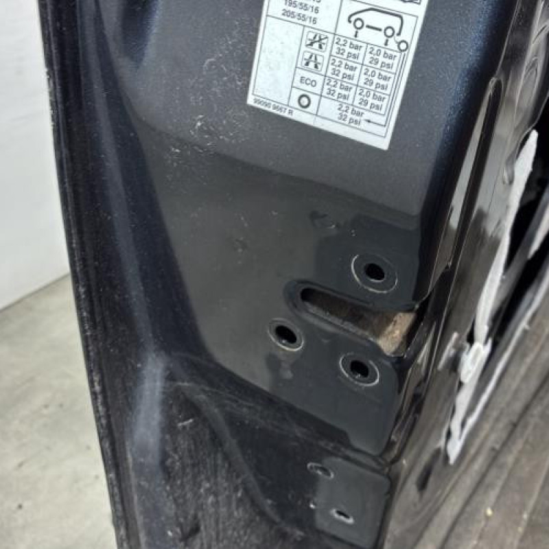 Porte avant gauche DACIA SANDERO 2 Photo n°4