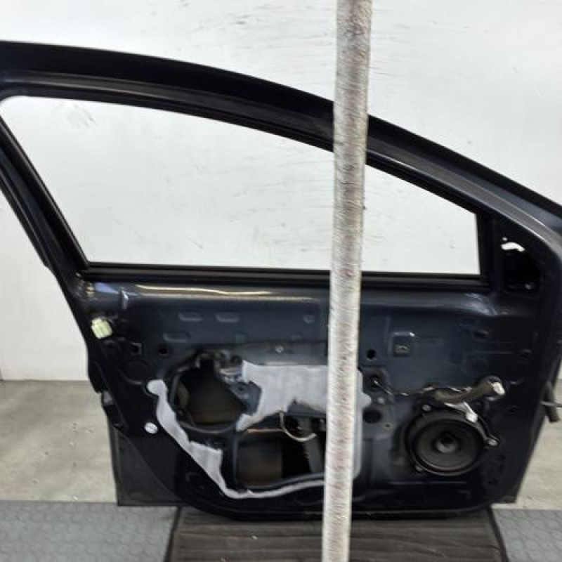 Porte avant gauche DACIA SANDERO 2 Photo n°5