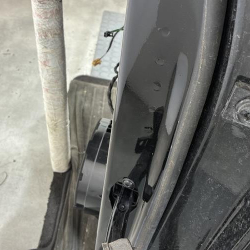 Porte arriere gauche AUDI Q2 Photo n°2