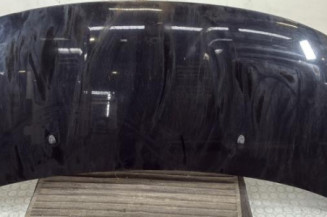 Capot PEUGEOT 3008 1 Photo n°1