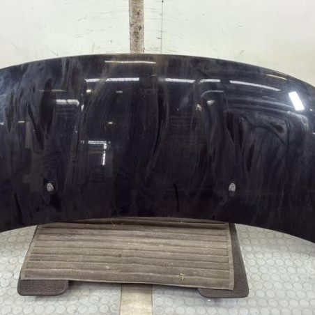 Capot PEUGEOT 3008 1 Photo n°1