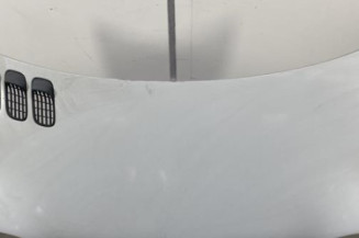 Capot RENAULT TWINGO 1