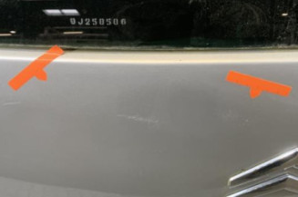 Malle/Hayon arriere CITROEN C4 PICASSO 1