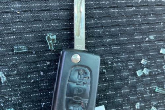 Malle/Hayon arriere CITROEN C4 PICASSO 1