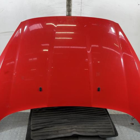 Capot FORD FIESTA 6 Photo n°1