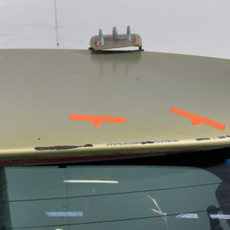 Malle/Hayon arriere CITROEN C4 GRAND PICASSO 1