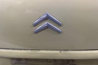 Malle/Hayon arriere CITROEN C4 GRAND PICASSO 1