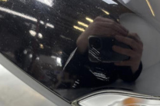 Retroviseur gauche RENAULT GRAND SCENIC 3