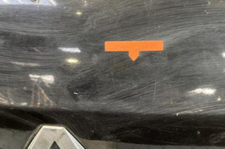 Malle/Hayon arriere RENAULT CLIO 3