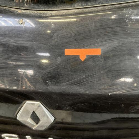 Malle/Hayon arriere RENAULT CLIO 3