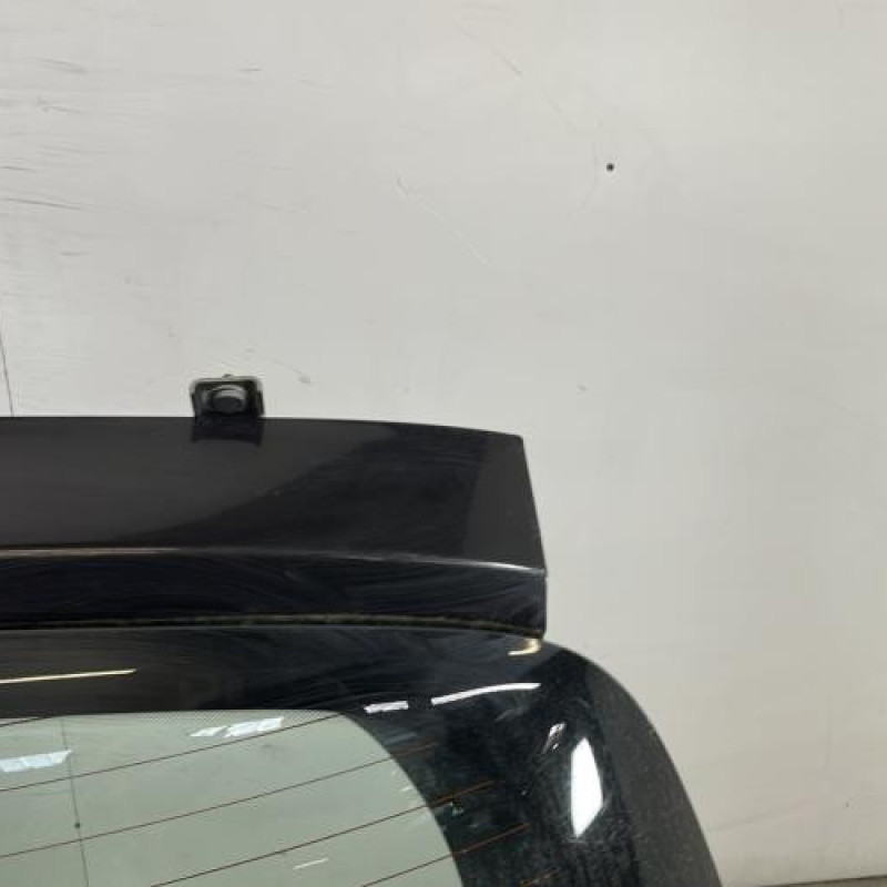 Malle/Hayon arriere RENAULT CLIO 3 Photo n°4