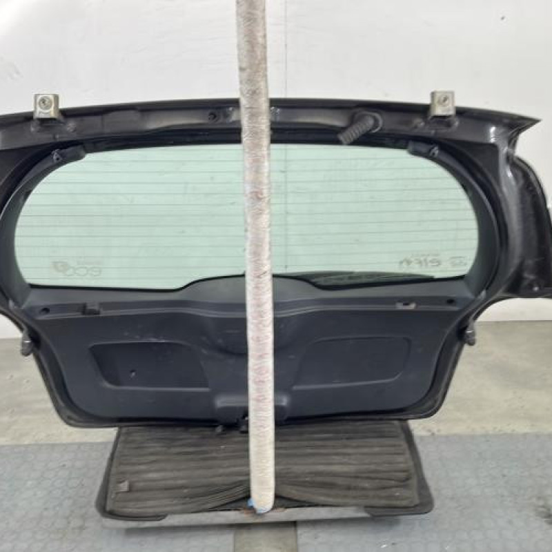 Malle/Hayon arriere RENAULT CLIO 3 Photo n°7