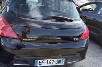 Porte arriere gauche PEUGEOT 308 1