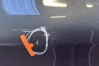 Porte arriere gauche PEUGEOT 208 1