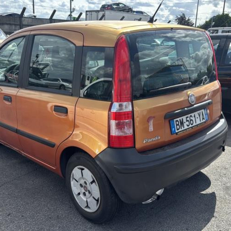 Porte avant gauche FIAT PANDA 2 Photo n°11
