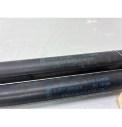 Verin de coffre FORD S-MAX 1