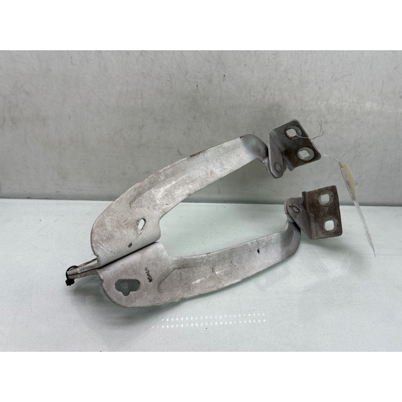 Charniere de capot RENAULT KANGOO 2 Photo n°1