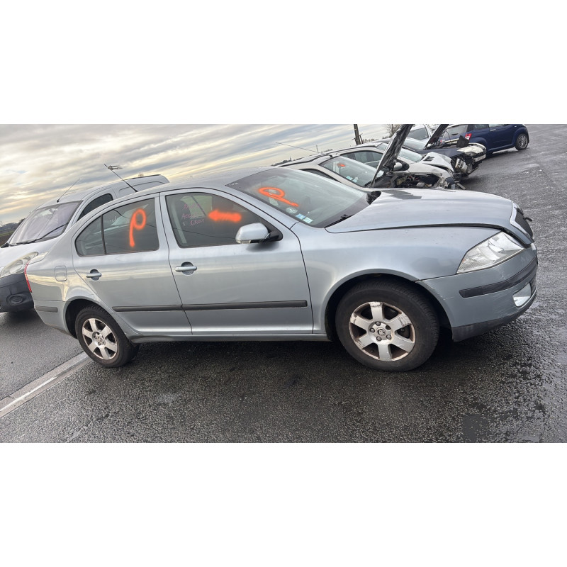 Porte arriere gauche SKODA OCTAVIA 2 Photo n°11