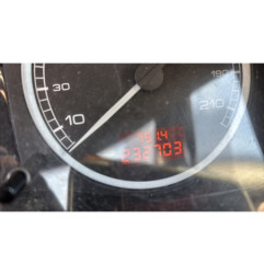 Custode avant droit (porte) PEUGEOT 307