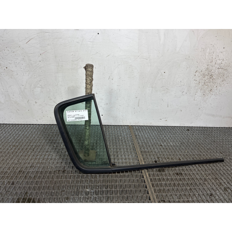 Custode arriere droit (porte) RENAULT CLIO 3 Photo n°1