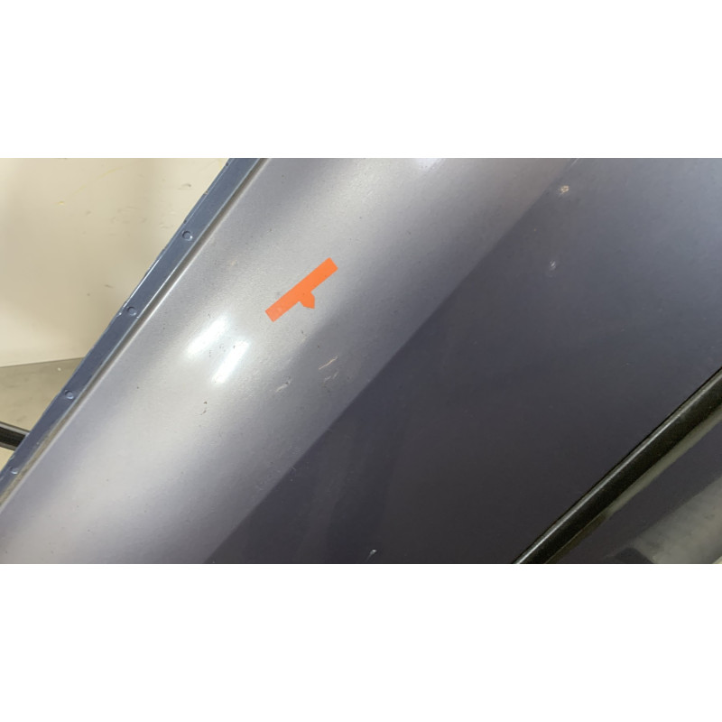 Porte arriere droit RENAULT CLIO 3 Photo n°3