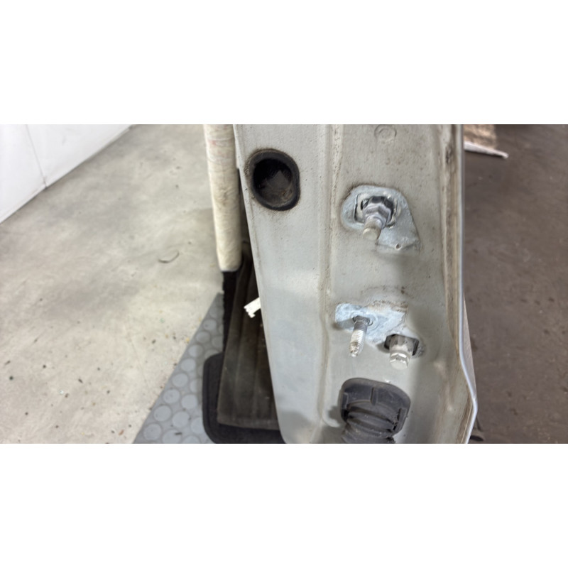 Porte avant gauche RENAULT CLIO 3 Photo n°5