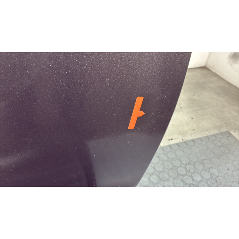 Porte avant droit DACIA SANDERO 2 Photo n°3