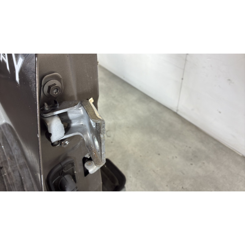 Porte avant droit DACIA SANDERO 2 Photo n°5