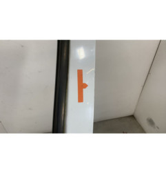 Porte avant gauche RENAULT CLIO 2