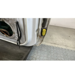 Porte avant gauche RENAULT CLIO 2