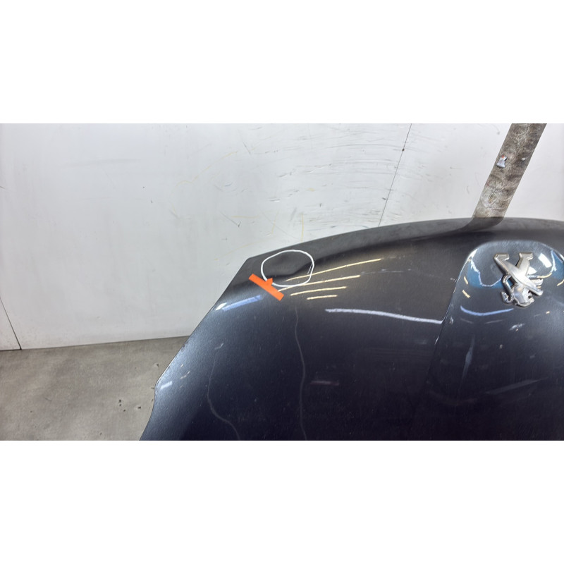 Capot PEUGEOT 208 1 Photo n°5