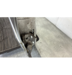 Porte arriere droit CITROEN XSARA PICASSO