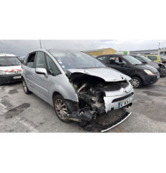 Custode arriere gauche CITROEN C4 PICASSO 1
