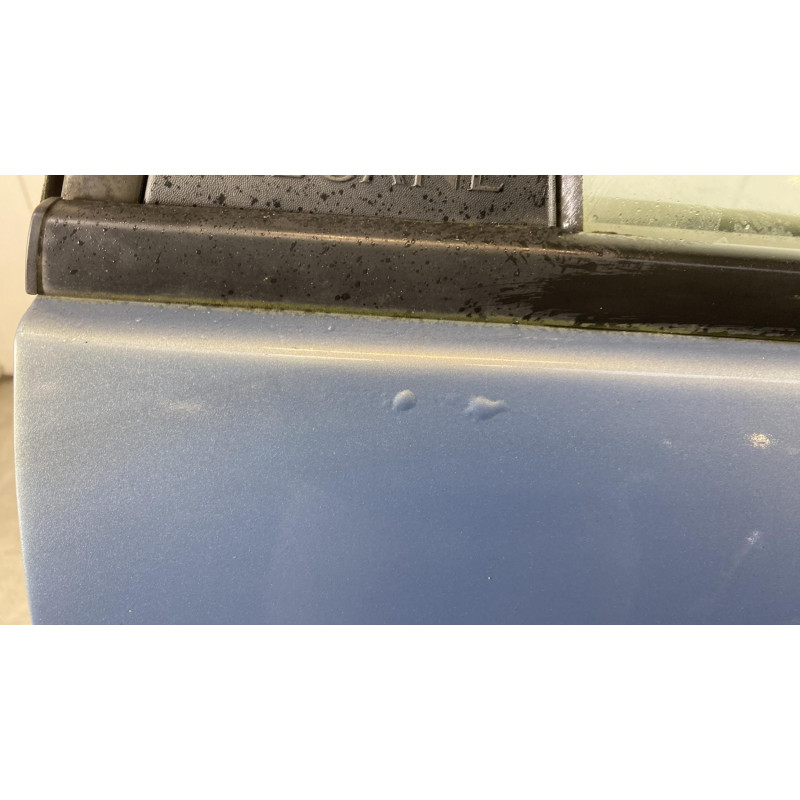 Porte arriere droit RENAULT SCENIC 2 Photo n°6
