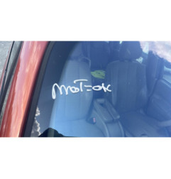 Porte arriere droit RENAULT GRAND SCENIC 2