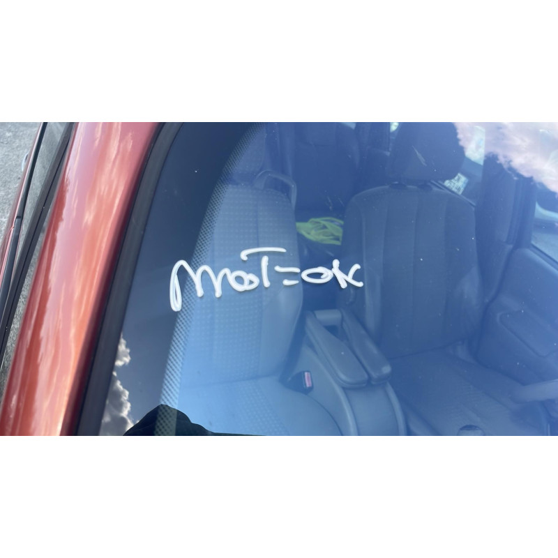 Porte arriere droit RENAULT GRAND SCENIC 2 Photo n°14
