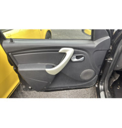 Custode arriere gauche (porte) DACIA SANDERO 1