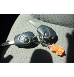 Moto ventilateur radiateur RENAULT CLIO 3
