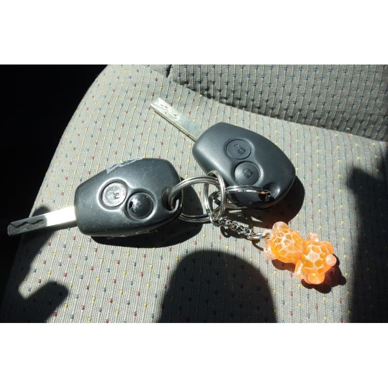 Moto ventilateur radiateur RENAULT CLIO 3 Photo n°7