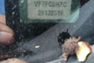 Face avant CITROEN C3 1