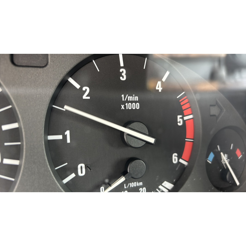 Custode arriere droit (porte) BMW SERIE 5 E39 Photo n°16