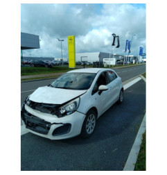 Attache ceinture arriere gauche KIA RIO 3