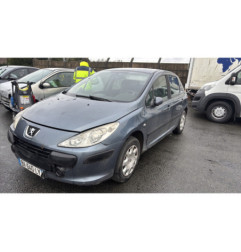 Vase de lave glace PEUGEOT 307
