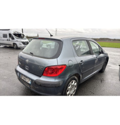 Vase de lave glace PEUGEOT 307