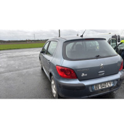 Vase de lave glace PEUGEOT 307