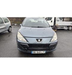 Vase de lave glace PEUGEOT 307